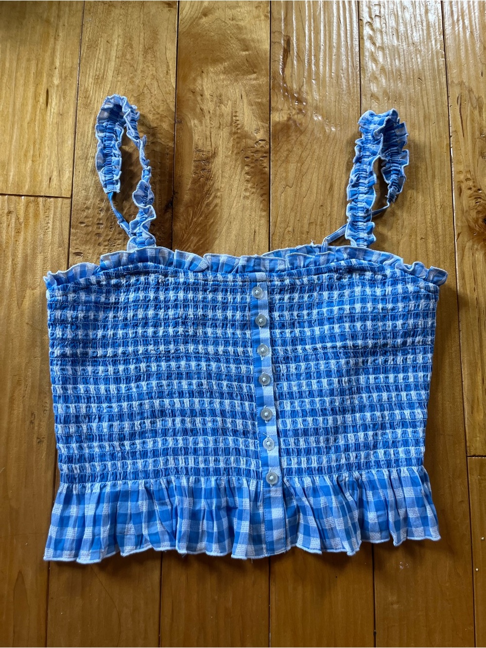 American Eagle Outfitters Blue Gingham Smocked Crop Top